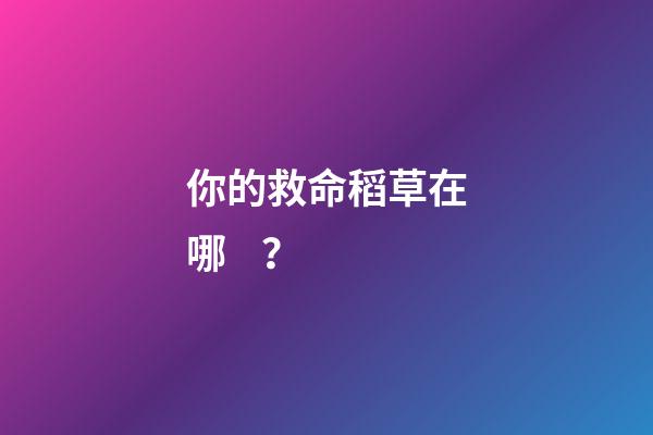 你的救命稻草在哪？
